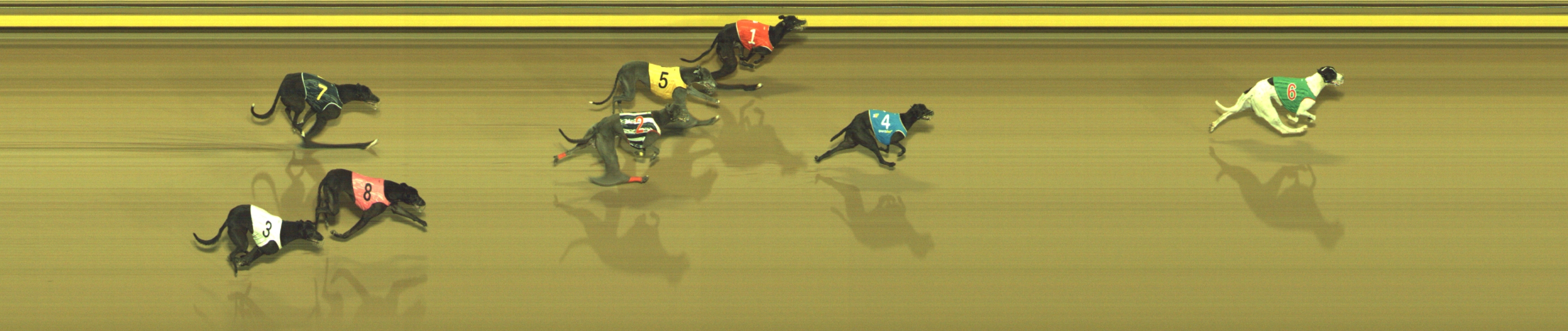 Race result finish photo